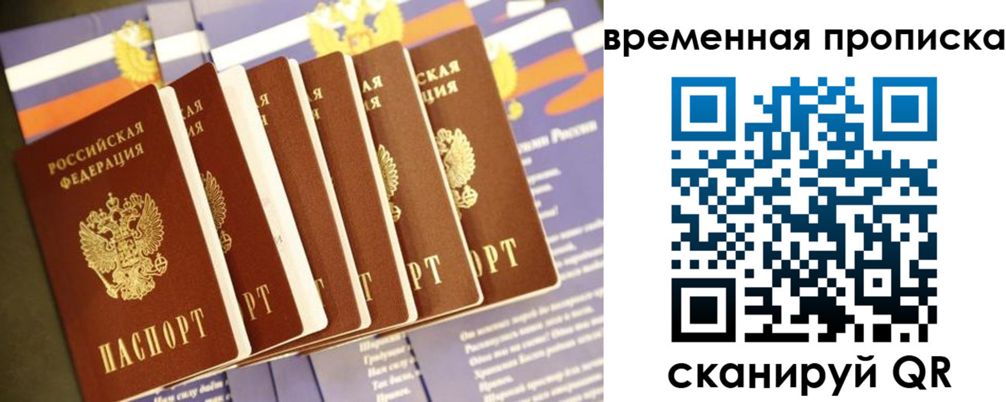 прописка штамп в Химках